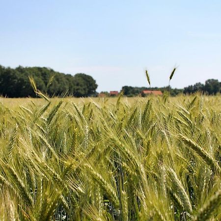Landhaus Il Cavallino Sassenberg Exteriör bild